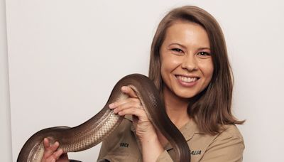 Bindi Irwin could step in as I'm A Celebrity co-host with Robert