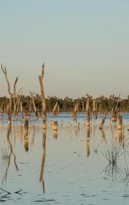 The Lake of Scars