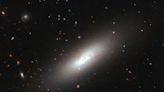 Galaxies in Miniature: Hubble Uncovers a Puzzling Case of Star Birth