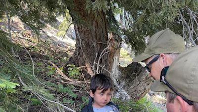 After 22 hours in the wilderness, 4-year-old boy from Torrance found safe