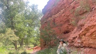 Source of Shreveport’s Red River is most popular state park in Texas