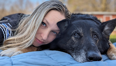 End of watch for distinguished St. Francis K-9 officer Bane