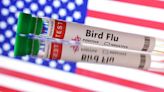 More U.S. bird flu spread would heighten human infection risk, officials say