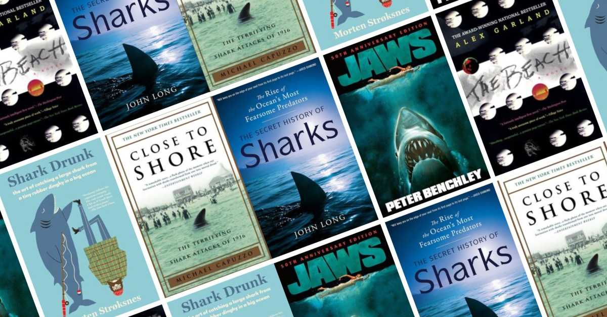 The 23 Best Shark Books of All Time