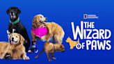 The Wizard of Paws season 1 Streaming: Watch & Stream Online via Disney Plus