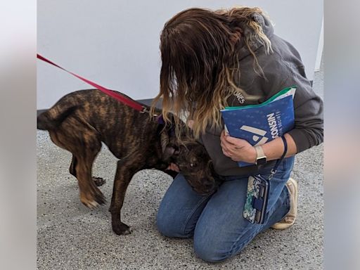 5-legged dog adopted from Wisconsin Humane Society in Kenosha