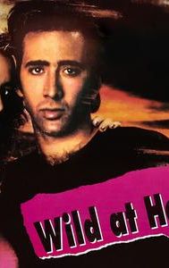 Wild at Heart (film)