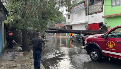 ¡Desastres naturales! Llueve fuerte en norponiente y causa grandes daños