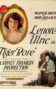Tiger Rose (1923 film)