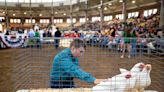 More than $58 million: Where do state fairgrounds renovations stand?