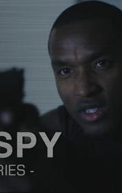 The Spy Web Series