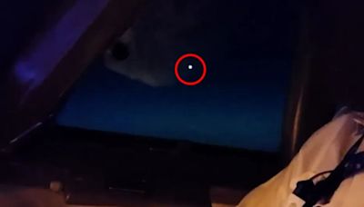 Moment Boeing pilots spot bright UFO orb ‘intercepting plane' in cockpit vid