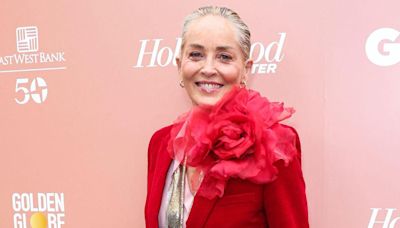 Sharon Stone, 66, Goes Topless, Wears Only Bikini Bottoms While Painting: See the Saucy Photo