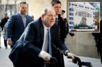 Harvey Weinstein cooling his heels in special Rikers cell after overturned rape conviction