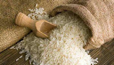 Modi government lifts export ban on non-basmati white rice ahead of Haryana Assembly polls