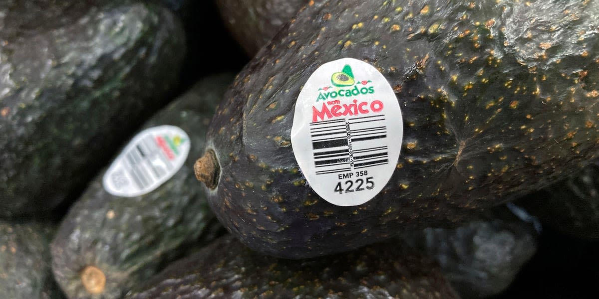 Assault on US avocado inspectors in Mexican state led to suspension of inspections