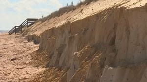 Flagler County leaders pass emergency order to outlaw walking on sand dunes