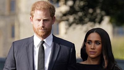 All Is Not Well Between Prince Harry And Meghan Markle? Royal Expert Says...