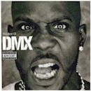 Best of DMX