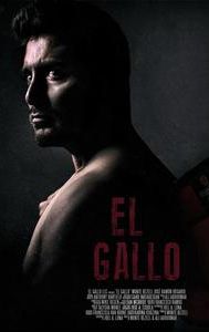 El Gallo