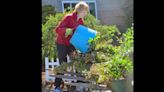 GARDENING IN CNY: Becoming a Master Gardener Volunteer