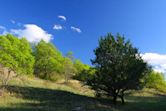 Lyndon B. Johnson National Grassland