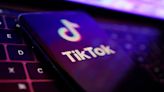 TikTok: hackearon cuentas de famosos, influencers, medios de comunicación y empresas con miles de seguidores: Paris Hilton, Sony y CNN entre los afectados