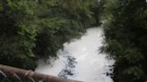 'It's really heartbreaking' : North St. Louis County residents attend forum on Cold Water Creek contamination