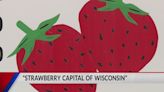 County by County: Alma, the Strawberry Capital of Wisconsin