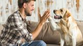 5 técnicas para evitar que tu perro muerda a un desconocido, según experto en comportamiento animal | El Universal