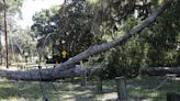 Savannah resident says minimal storm damage, cleanup on Wilmington Island is 'lucky'