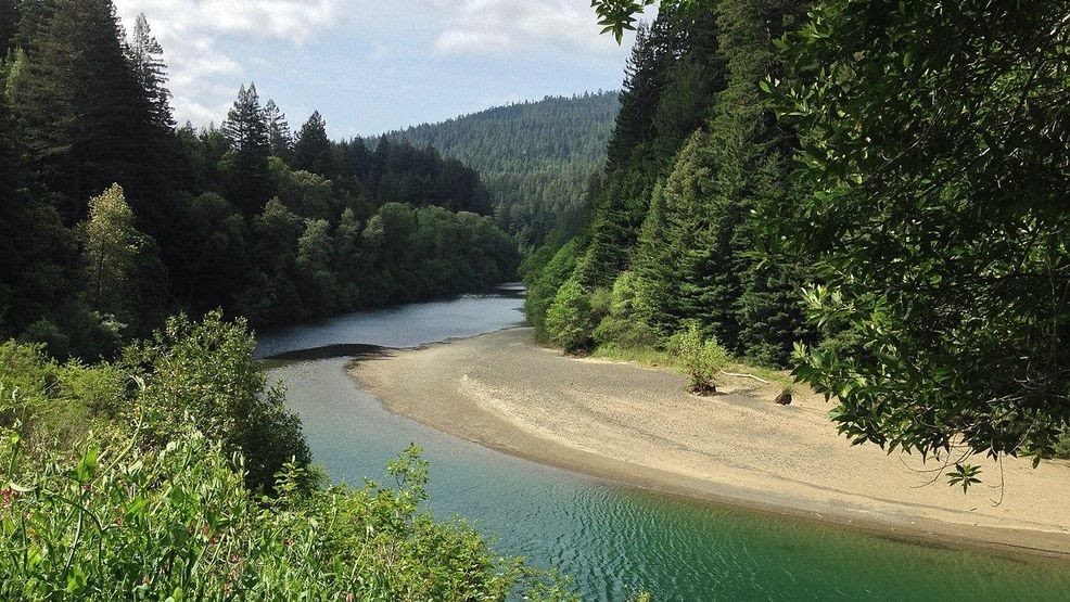 2 dogs die after swimming in Eel River in Humboldt County