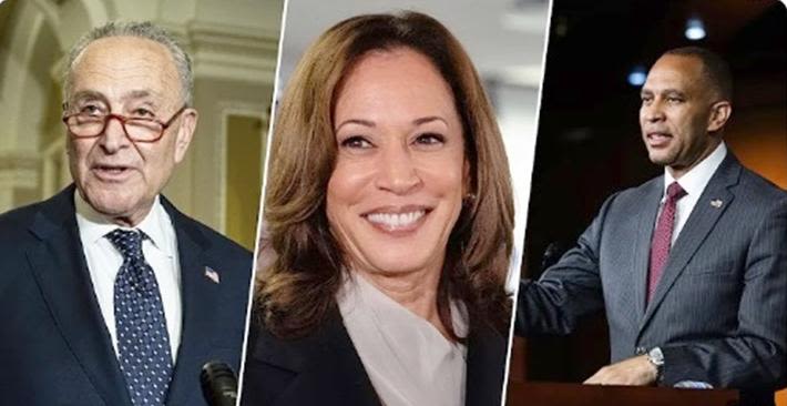 A Giddy Schumer and Jeffries (the Top Two Democrats in Congress) Endorse Harris at Tuesday News Conference | WATCH | EURweb