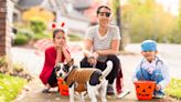 7 Tips for Taking Your Dog Trick-or-Treating