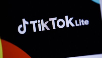 Tik Tok, un canal de comunicación indispensable para los políticos