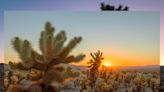 3:30 a.m. alarms, coffee and a quest to find the greatest sunrise spots in Joshua Tree