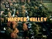 Harper Valley P.T.A.