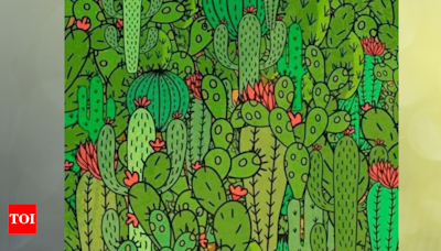 Nature love: Do you have excellent vision to spot 3 animals hidden in these plants - Times of India