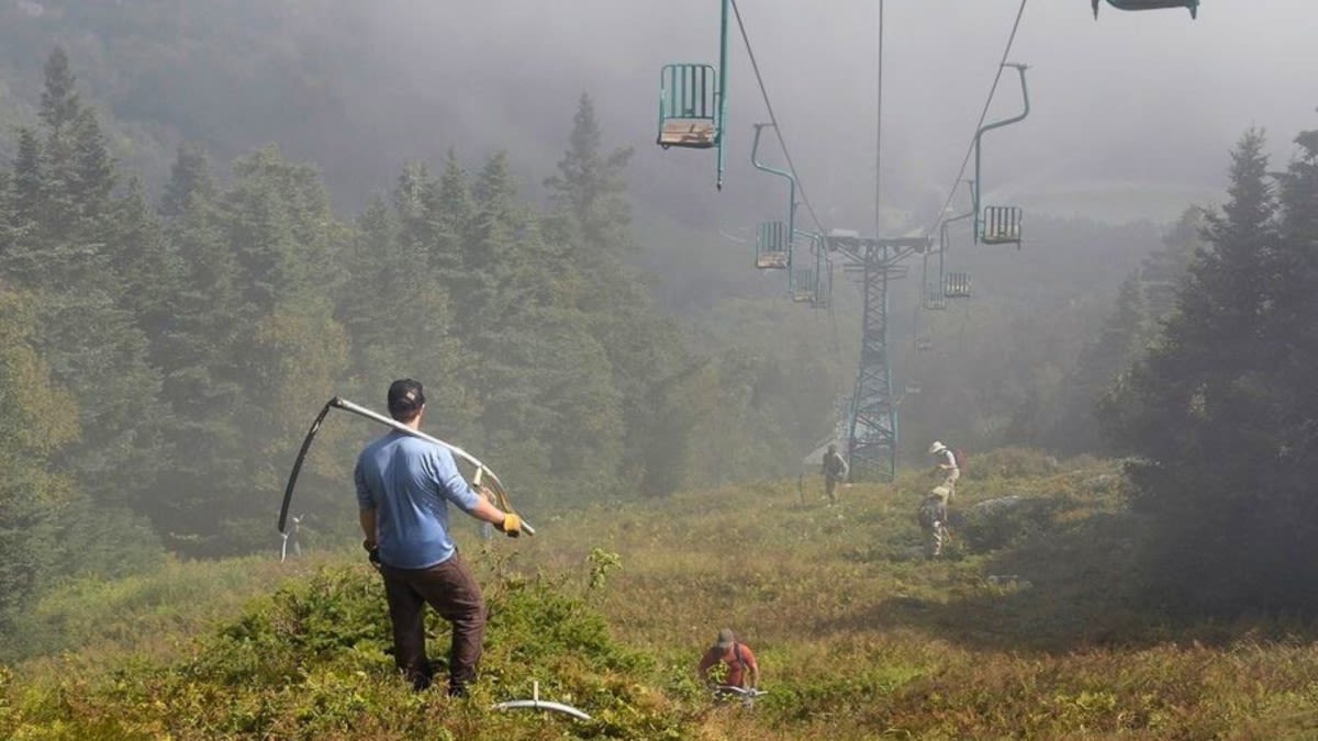 Mow Some Grass, Earn Your Pass at Mad River Glen, Vermont