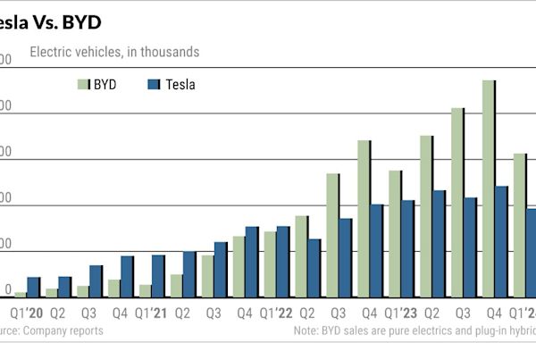 Elon Musk Touts Tesla FSD Amid EV Woes; BYD Breaks Out As Margins Soar