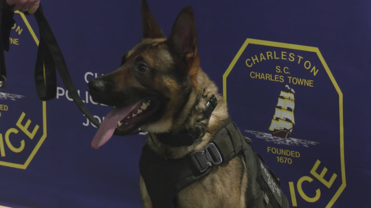 Charleston Police Department introduces new K-9 named after former police chief