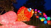 Asian Lantern Festival returns to Cleveland Metroparks Zoo