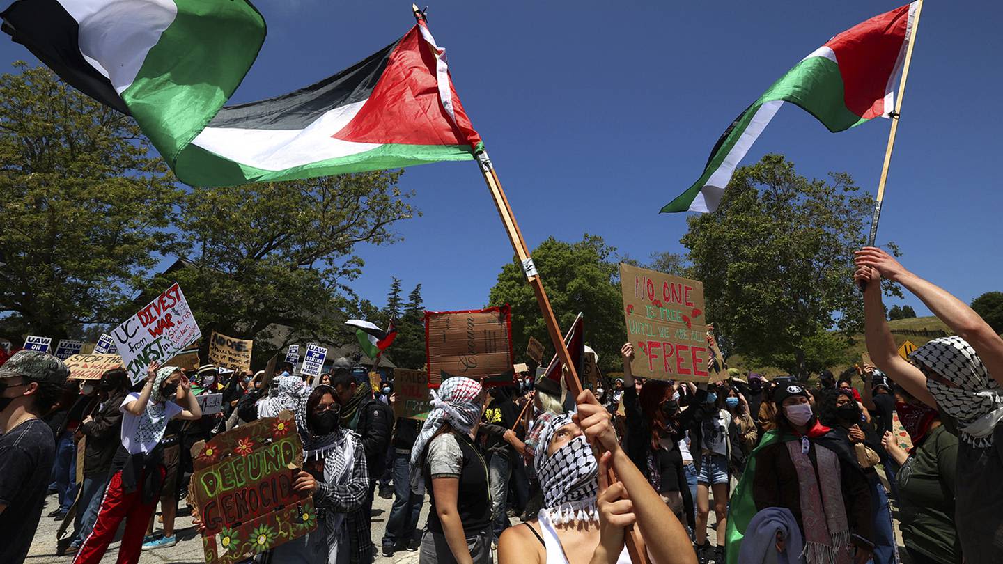 Police arrest 'many' at Israel-Hamas war protest at UC Santa Cruz, school says