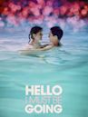 Hello I Must Be Going (2012 film)