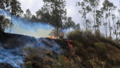 Ecuador gestiona cooperación internacional y ayuda humanitaria para atender incendios