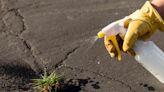 Does Bleach Really Kill Weeds? How to Make a DIY Weed Killer That Actually Works