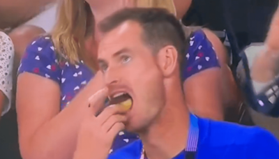 Andy Murray loving retirement as he scoffs doughnut with fellow tennis legend