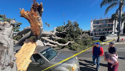 Toppled scaffolding, canceled beach festival, brush fires: Strong winds stir trouble for SoCal