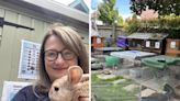 Meet the Croydon animal charity worker keeping 20 rescued rabbits in her garden