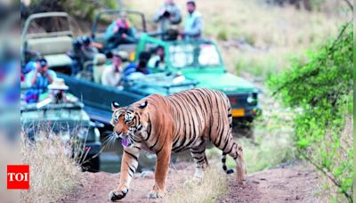 Closure of Ranthambore and Sariska Tiger Reserves Core Areas During Monsoon | Jaipur News - Times of India